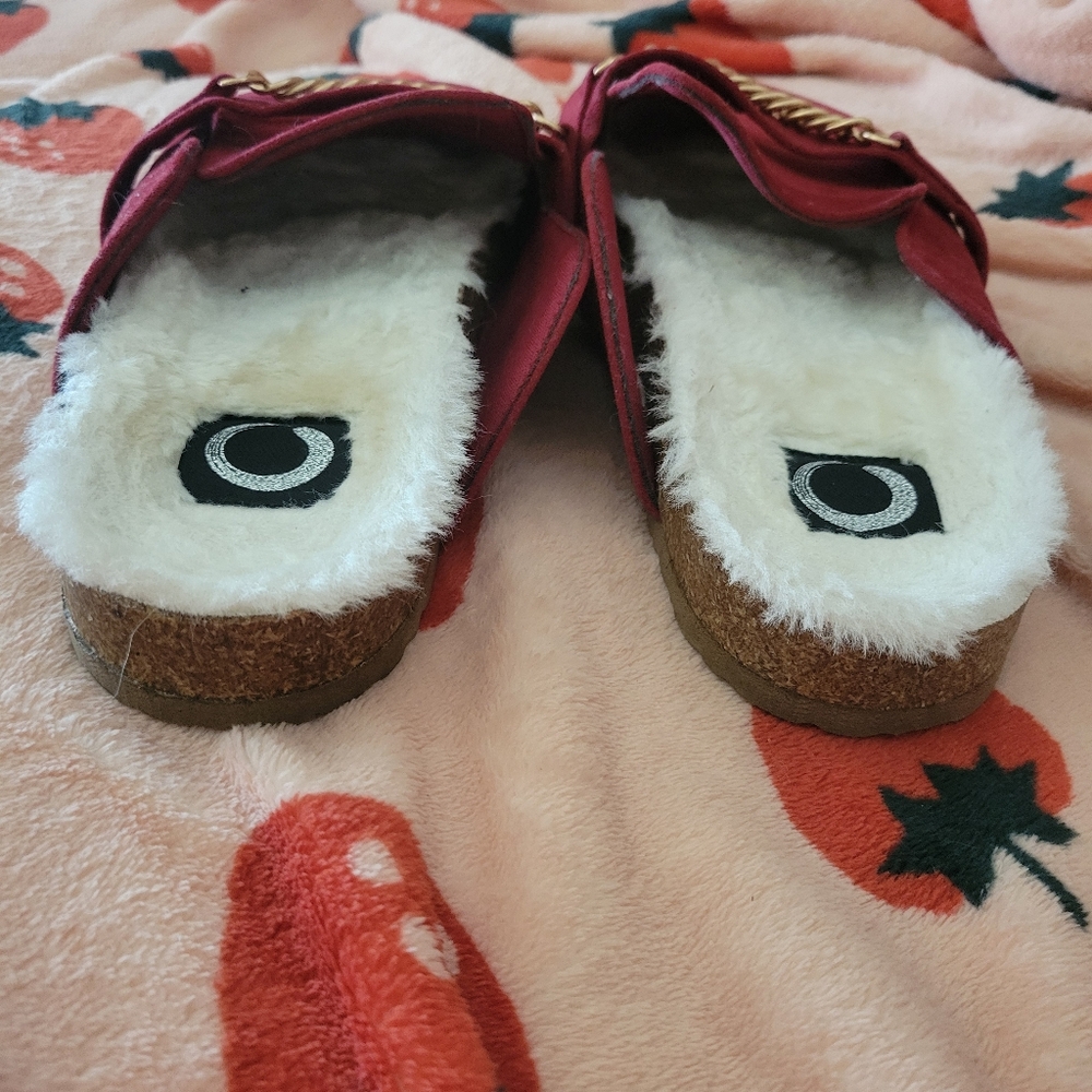 Adorable Fur Lined Red Clogs - image 4